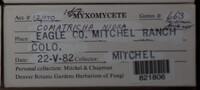 Image Associated With the Occurence